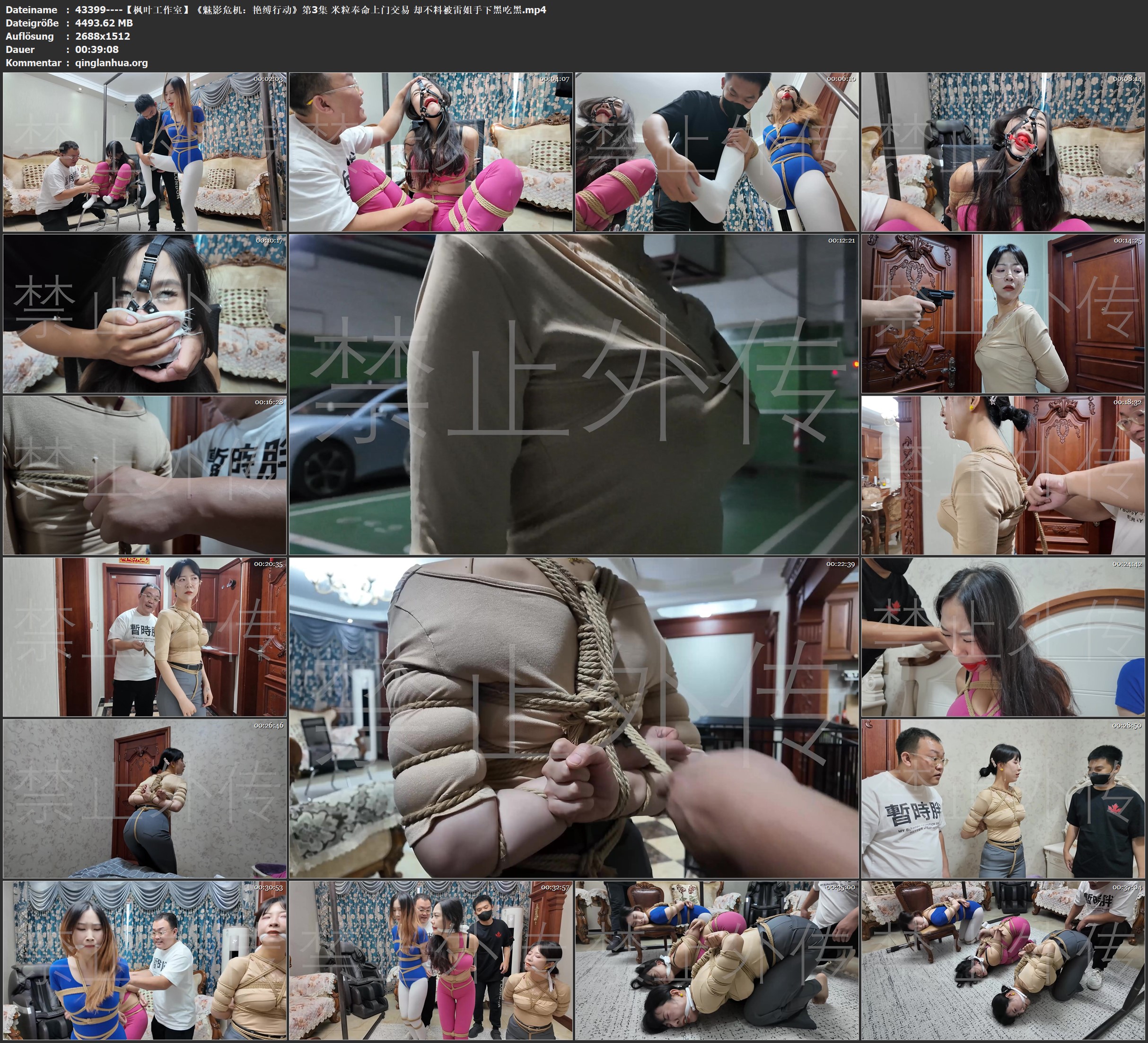 43399----【枫叶工作室】《魅影危机：艳缚行动》第3集 米粒奉命上门交易 却不料被雷姐.jpg