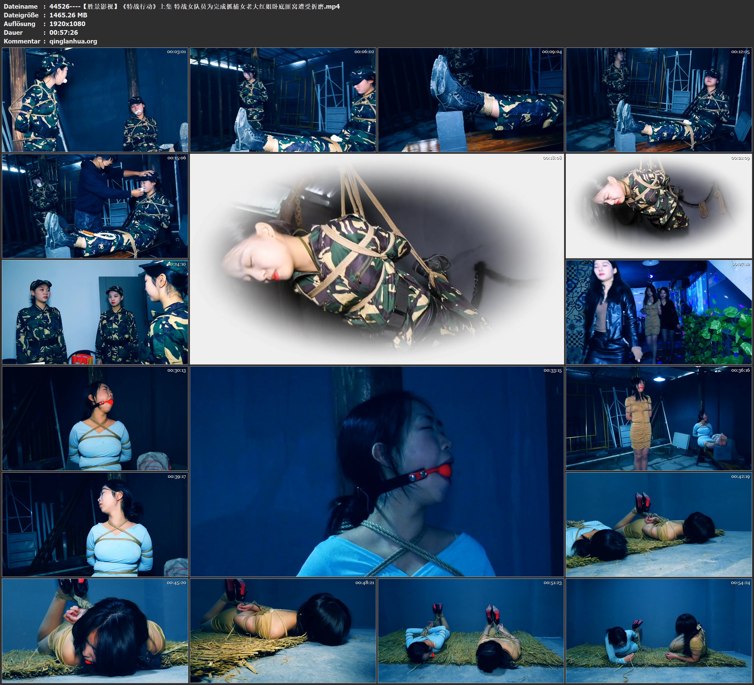 44526----【胜景影视】《特战行动》上集 特战女队员为完成抓捕女老大红姐卧底匪窝遭受折磨.jpg