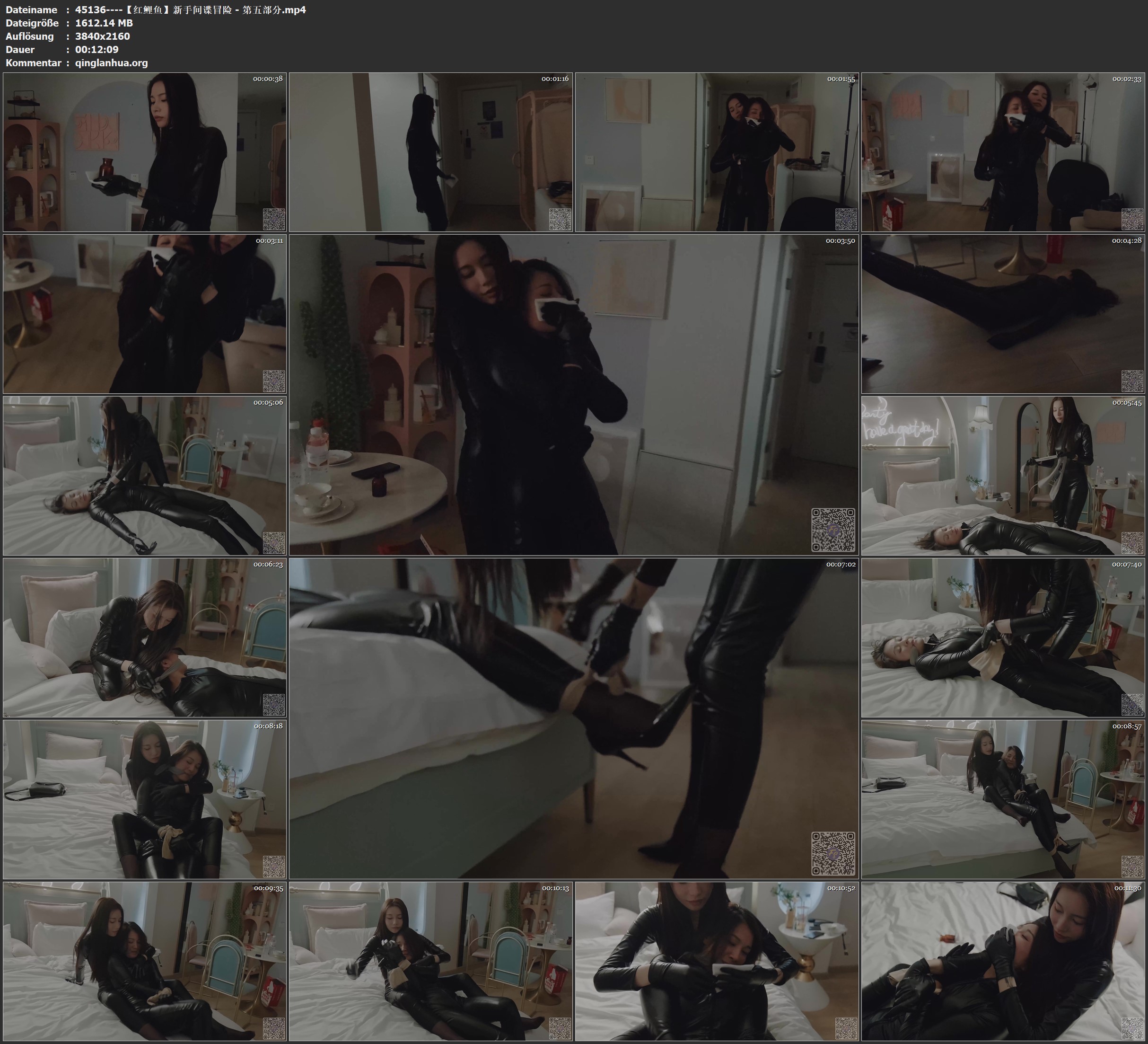 45136----【红鲤鱼】新手间谍冒险 - 第五部分.jpg