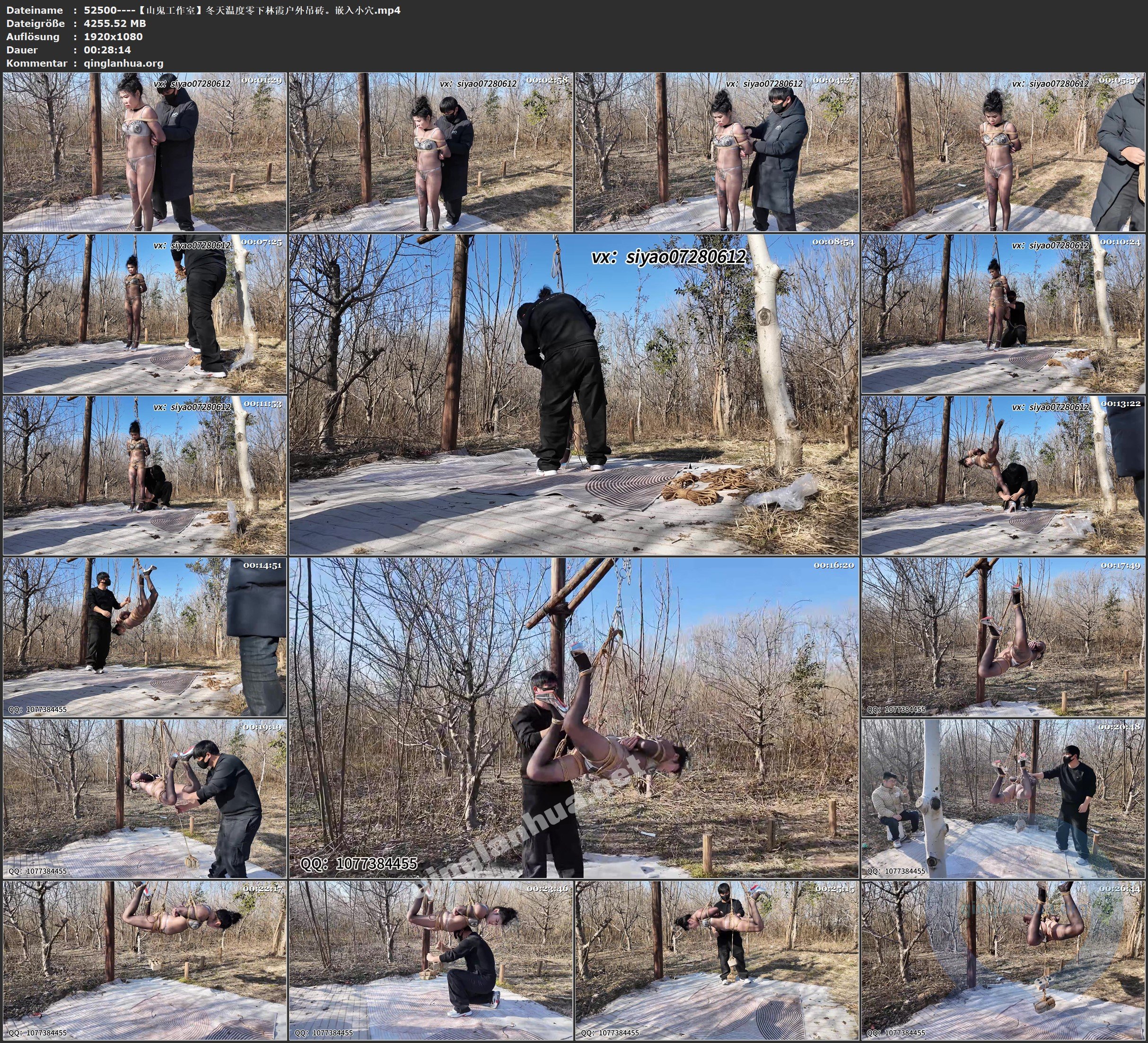 52500----【山鬼工作室】冬天温度零下林霞户外吊砖。嵌入小穴.jpg