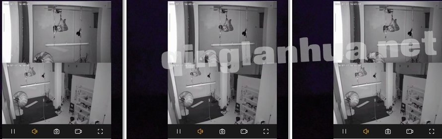 53179----.0000.jpg