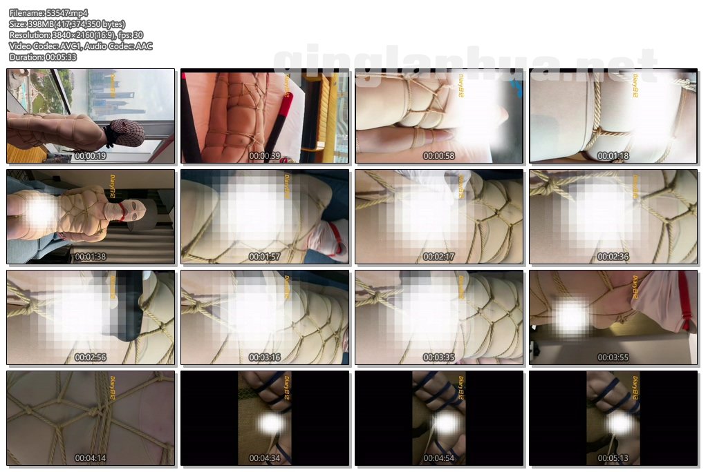 53547----【Diary】上课日记之上海W酒店绳子木乃伊震动棒强炸.jpg