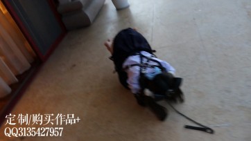 【咕咕精】茶茶户外人形犬K9初体验~