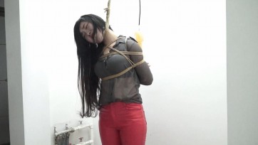 【逍遥】《命运彩票》（下集）