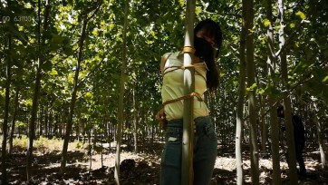 【束缘阁】杨蕊 牛仔裤 长腿 黄河边的五花 林荫小路拖撩行走