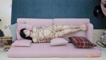 【半岛束艺台】【波雅】最怕台长太闲